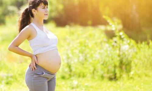 母乳分析仪价格