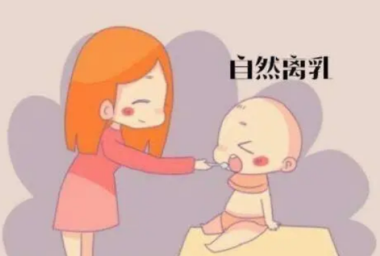 母乳分析仪