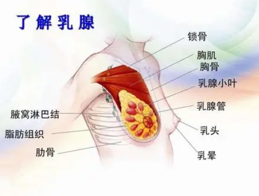 有乳腺问题的人一般会有哪些症状?(图1) 母乳检测仪