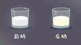 母乳分析仪
